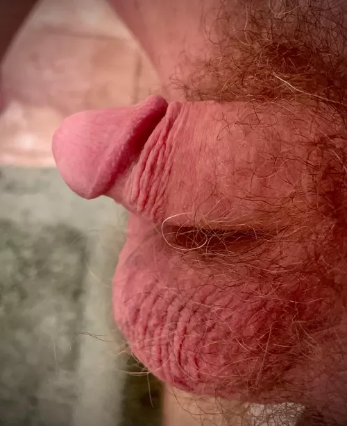 Current Situation [46] by Panzov2day