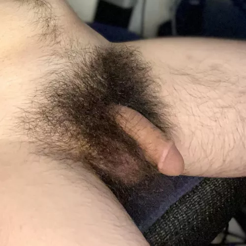 Cut but untrimmed by BoredAtHome08