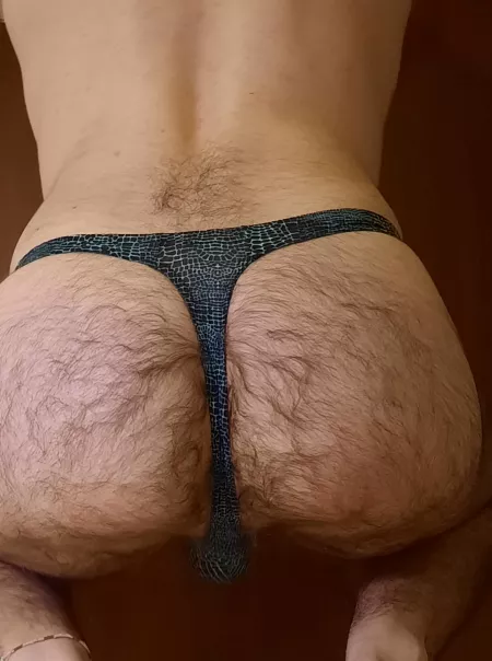 Cute and hairy. Would you fuck it? PM me. by trotmarch