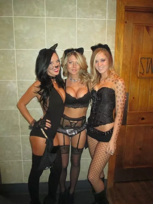 Cute kitties by pete_rosenpenis