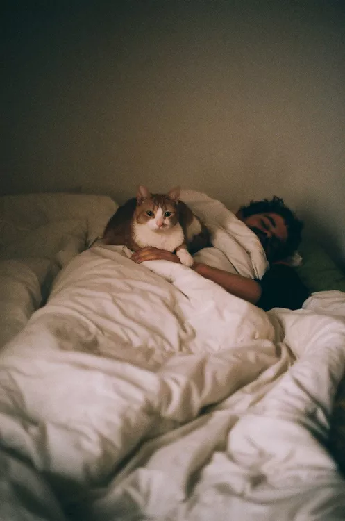 Cute kitty posted by lickitforme