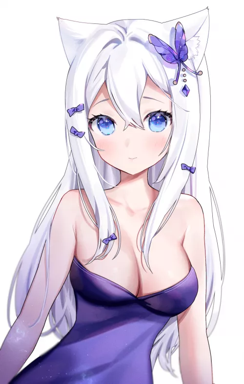 Cute kitty in a party dress