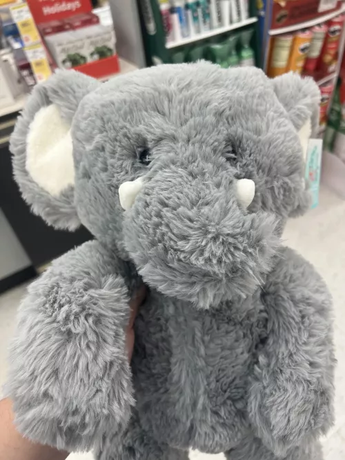 Daddi let me get a stuffy since I got my Covid shot. I need name suggestions! by Sharkie_Baby