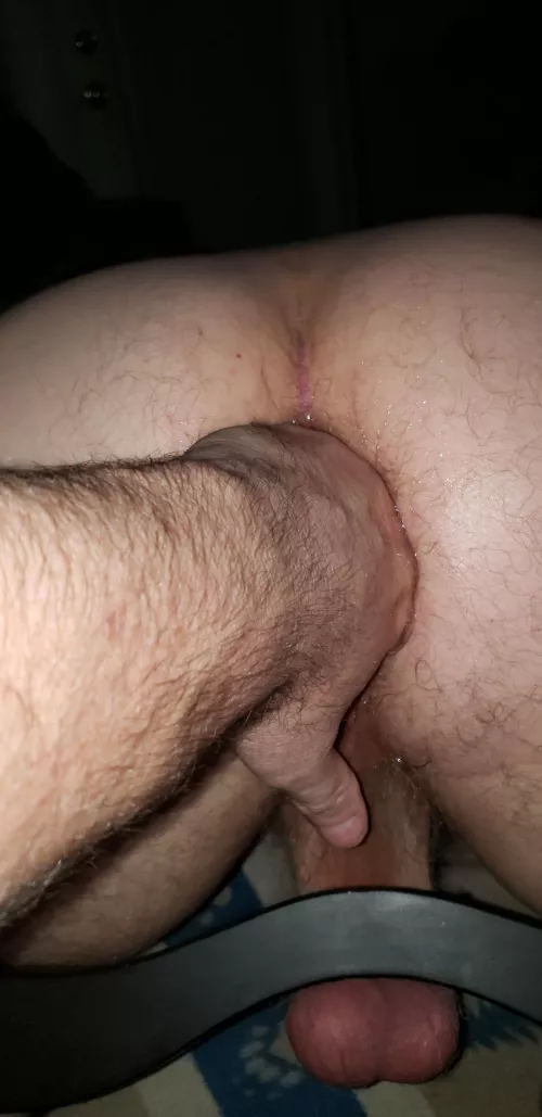 Daddy bear working my hole over