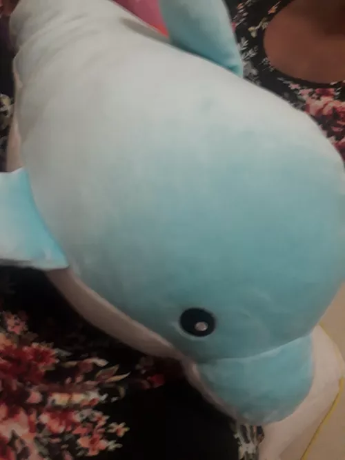 💖🥺🥰Daddy gave me Christmas money, and I used some to go shopping and I got a new friend! It's name is Sir Viscount Bluey The 1st! Thank you daddy for letting me get it! I love you🥺.🥰💖 by Crazy-Personality-84