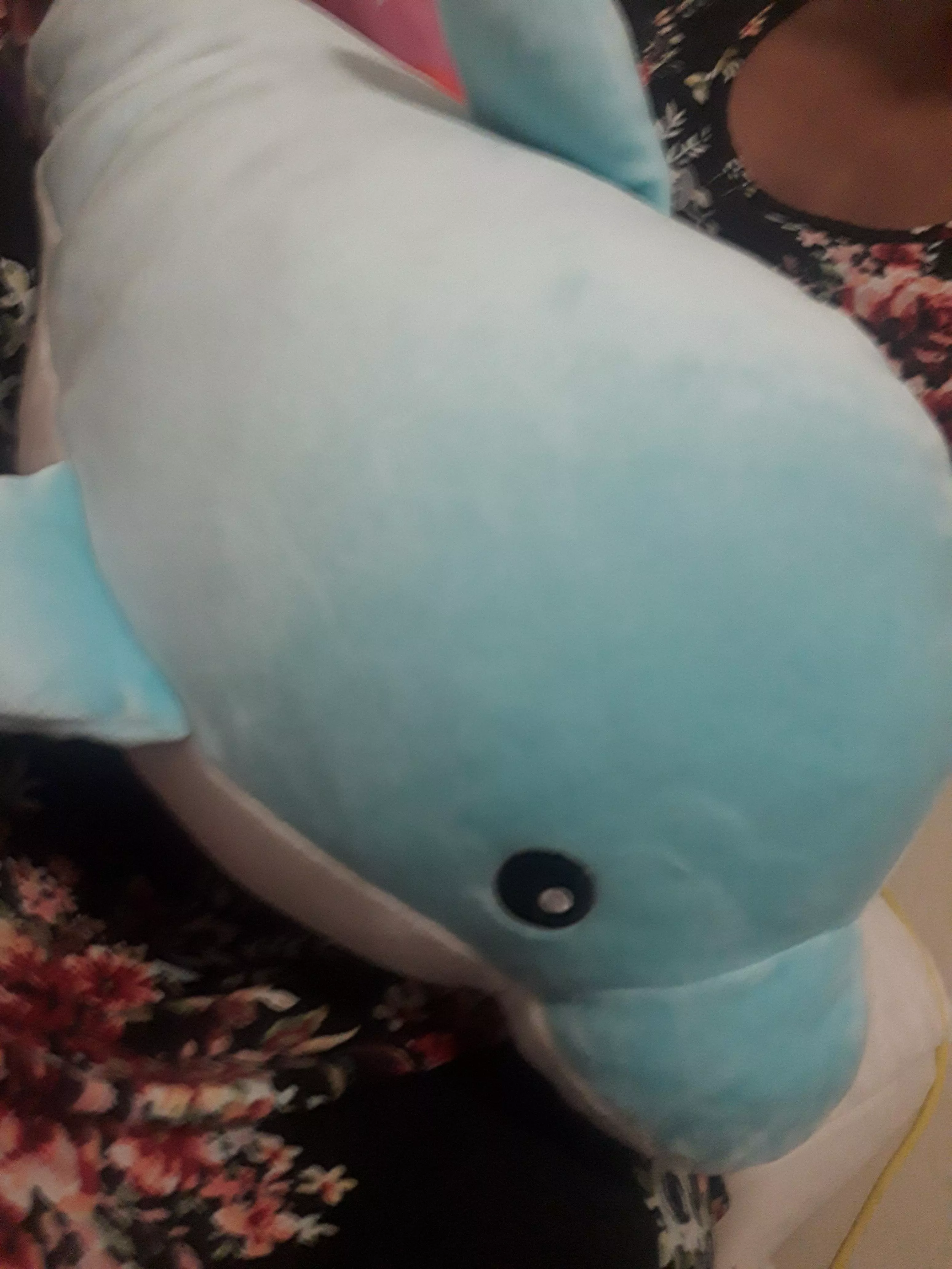 💖🥺🥰Daddy gave me Christmas money, and I used some to go shopping and I got a new friend! It's name is Sir Viscount Bluey The 1st! Thank you daddy for letting me get it! I love you🥺.🥰💖 posted by Crazy-Personality-84