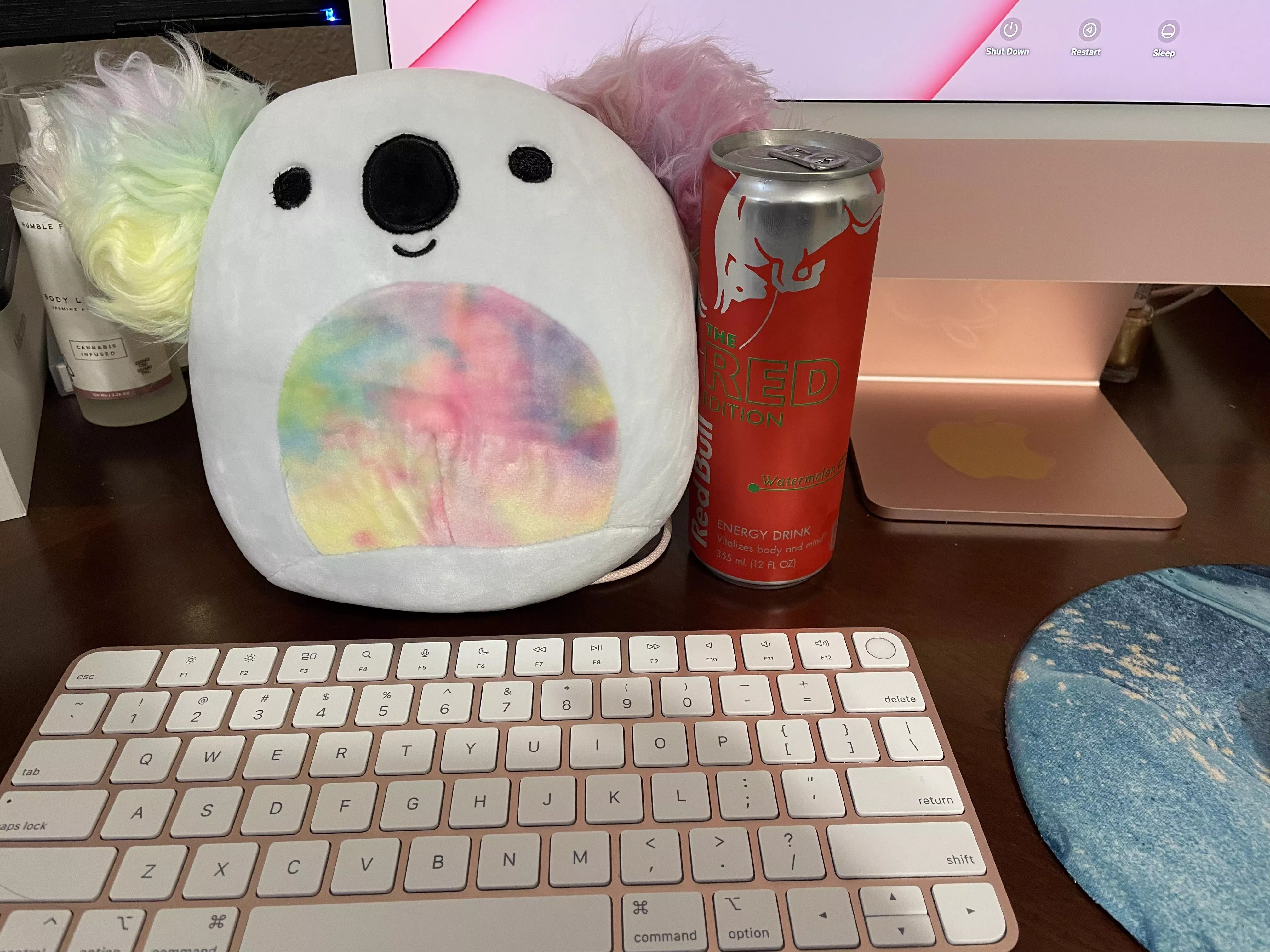 Daddy got me a koala and energy drink to help with my homework 💜 i luv him 🥰😘 posted by LustfulVixen