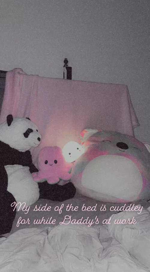 Daddy got the panda for me from IKEA yesterday! 🥰 by robertplantspage