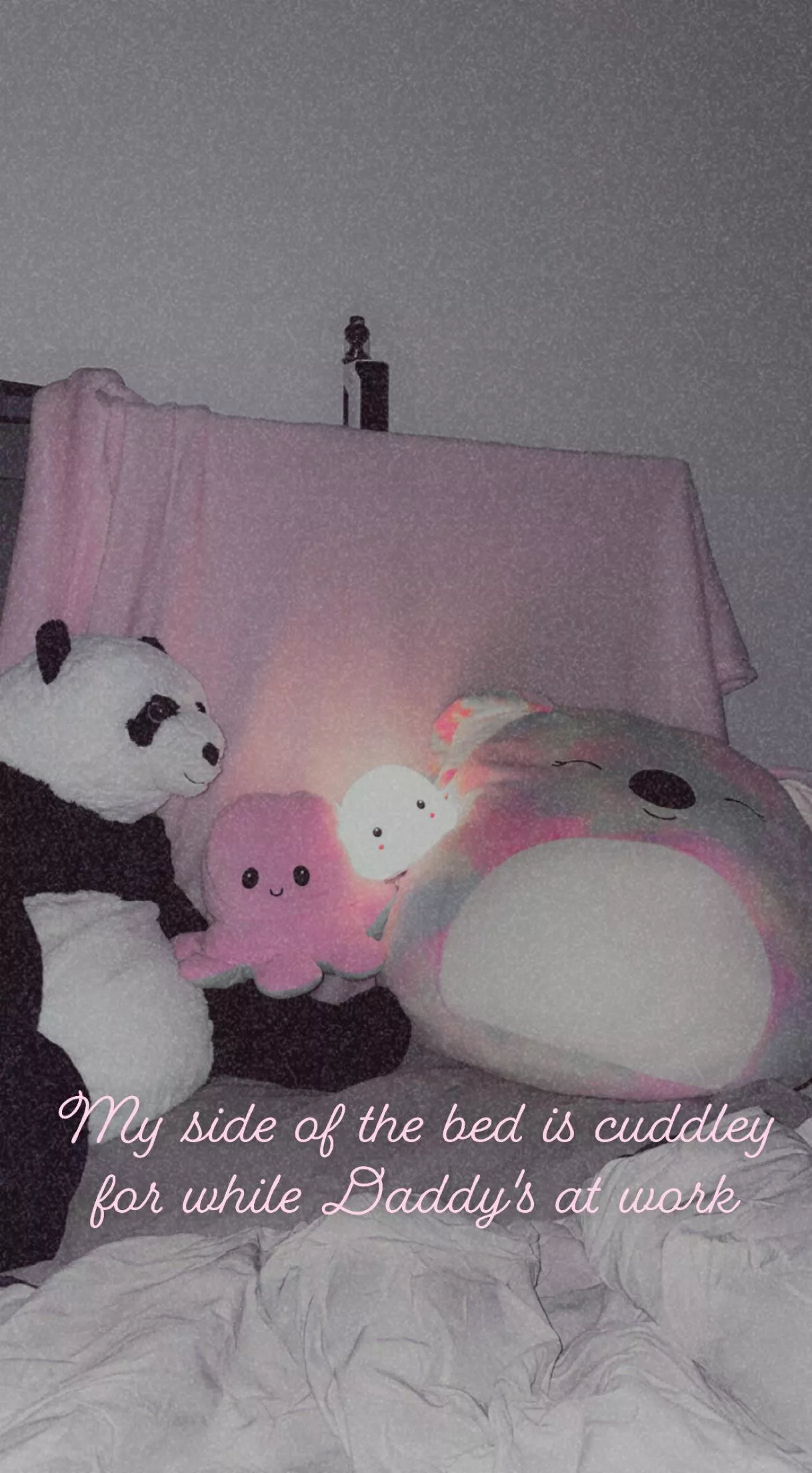 Daddy got the panda for me from IKEA yesterday! 🥰 posted by robertplantspage