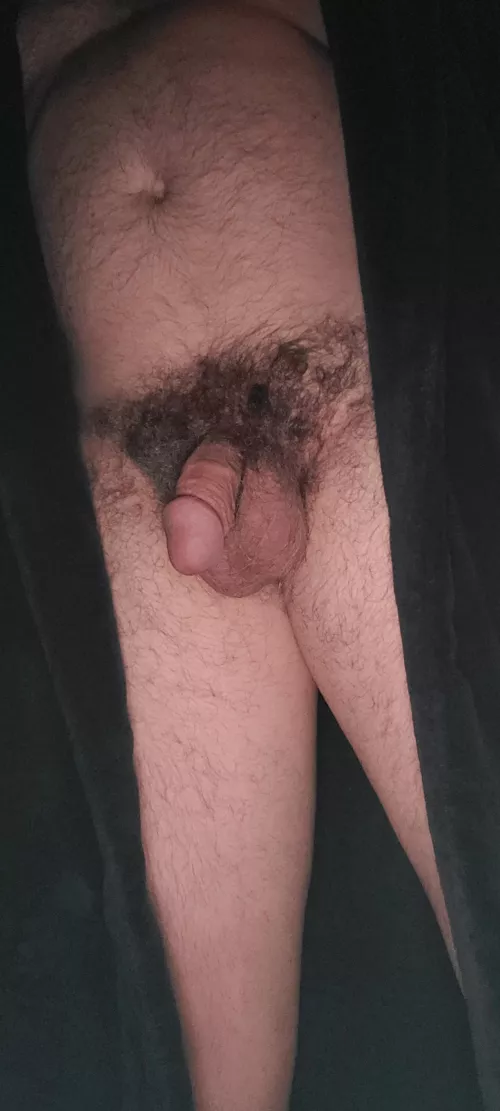 Daddy material? 8 when hard, 41. by Savings-Accountant90