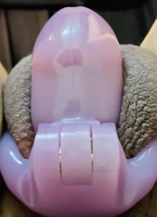 Daddy wanted to see it locked, he said it should never be free 😢 by bi_luv_xoxo