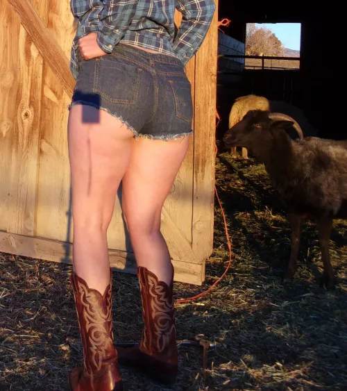 Daisy Dukes or nah? by TheNakedEquestrian