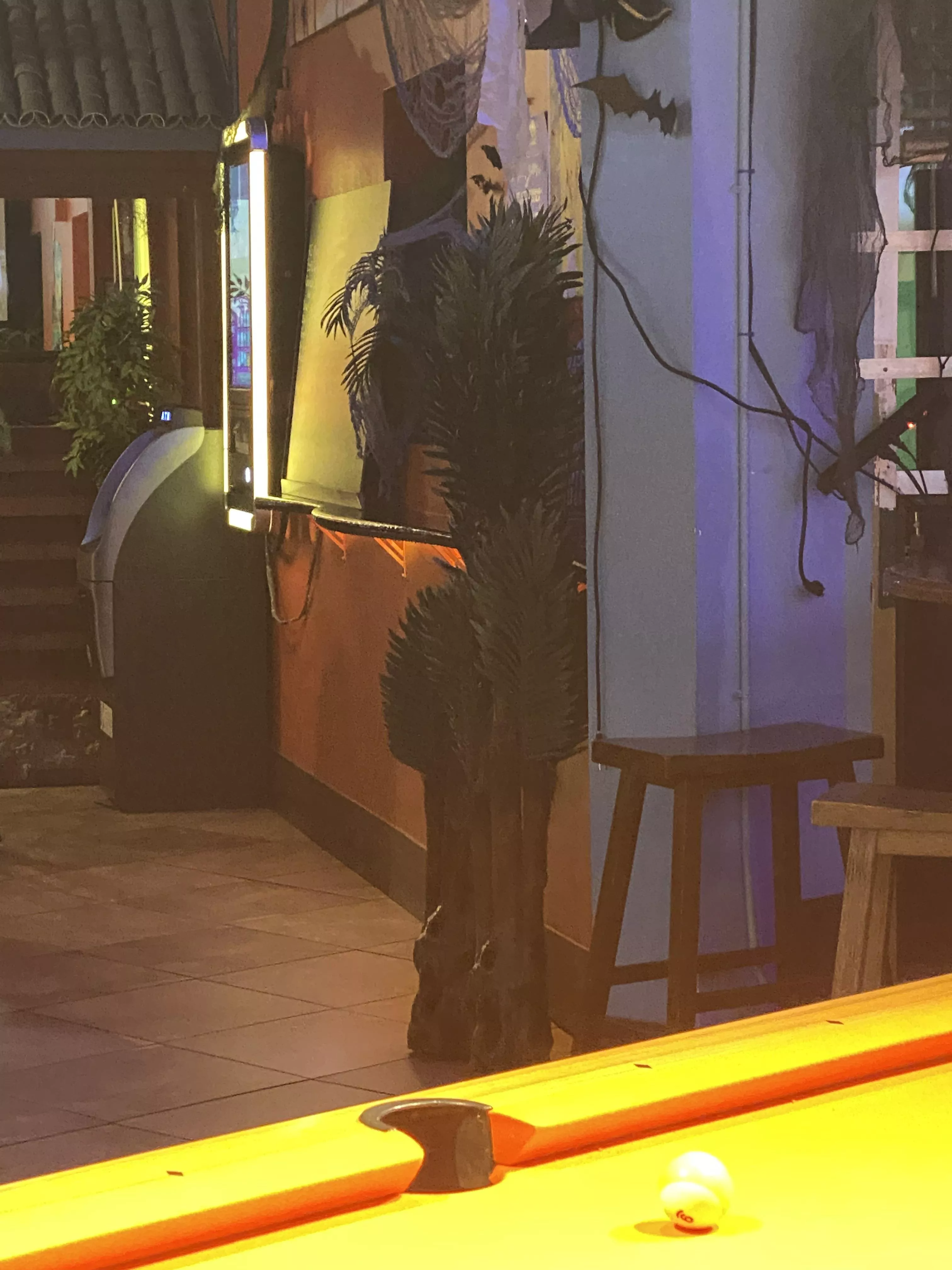 Damn calm down shawty posted by Dan-Blough