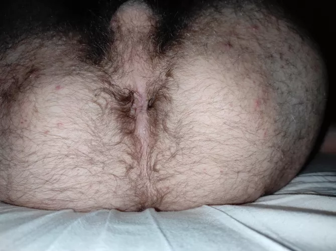 Damn my ass is hairy 😂 by TheMoonSwimmer