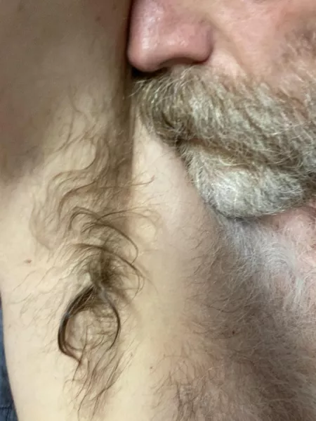 Damp by Significant-Fold-58