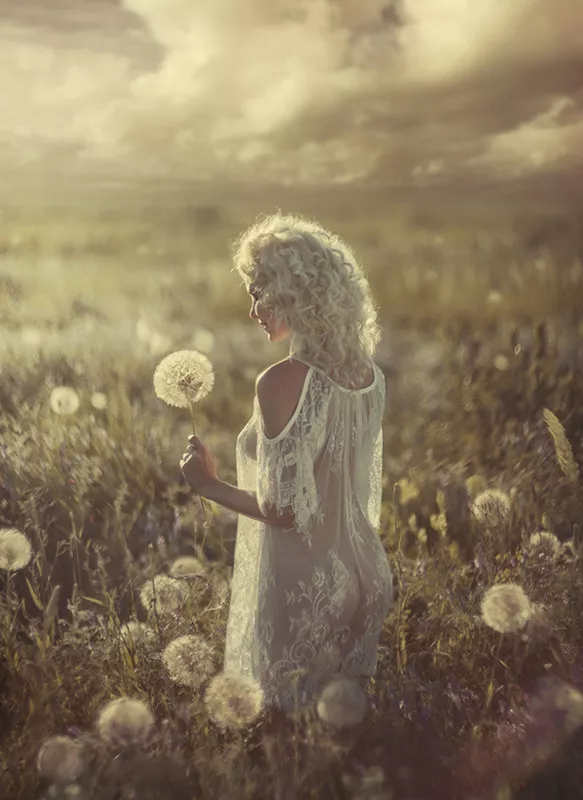 dandelions warm moments... posted by DubnitskiyDavid