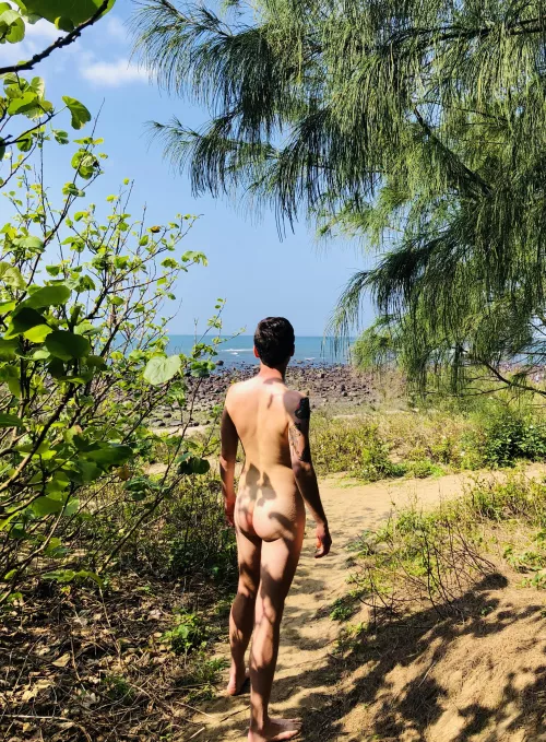 Dappled in the dunes by cazzone_agitato