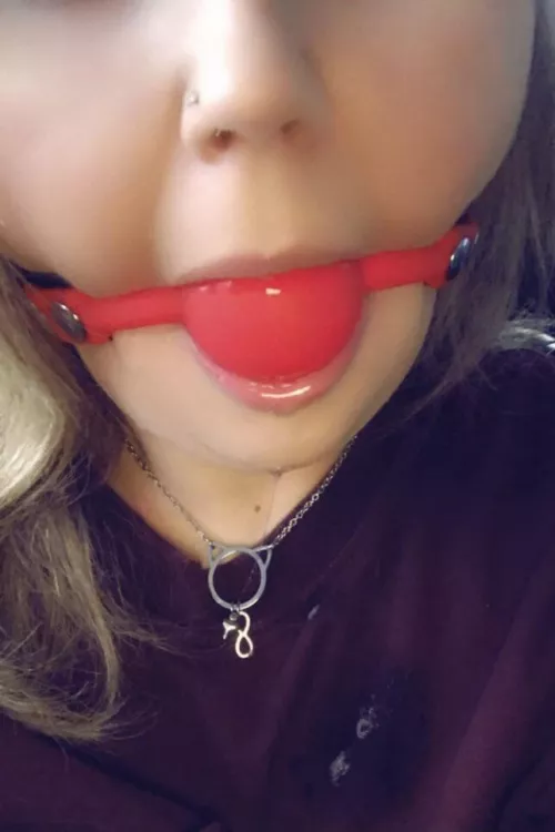 Day 1 of my new Owned and collard status. by Momma-Bunny9187