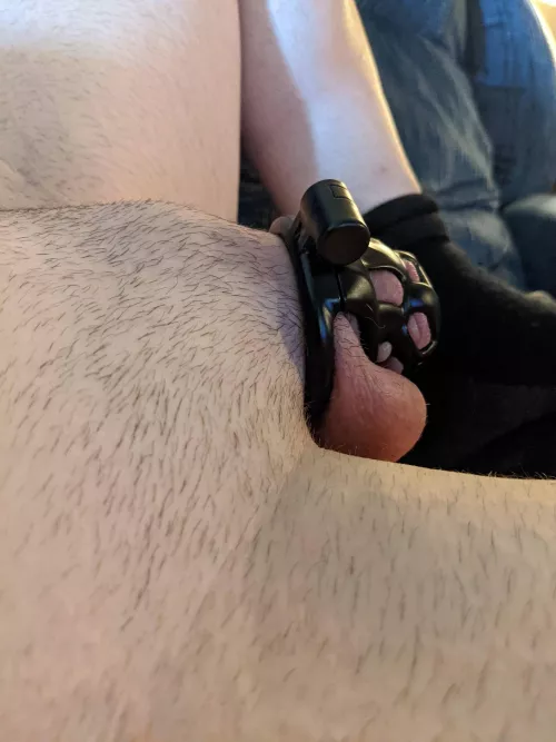 Day 17. Almost 2/3 of the way there. This morning I've got some wood 😵‍💫 by sexyboy528