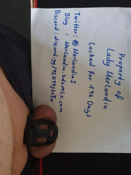 Day 196 and no escape. And my Lady is looking for New slaves by chopono