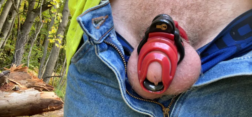 Day 2 still enjoying it by Substantial-Crew-595