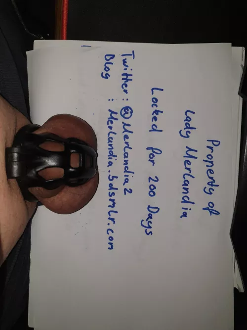 Day 200 of ??? And Lady Merlandia is looking for New slaves by chopono