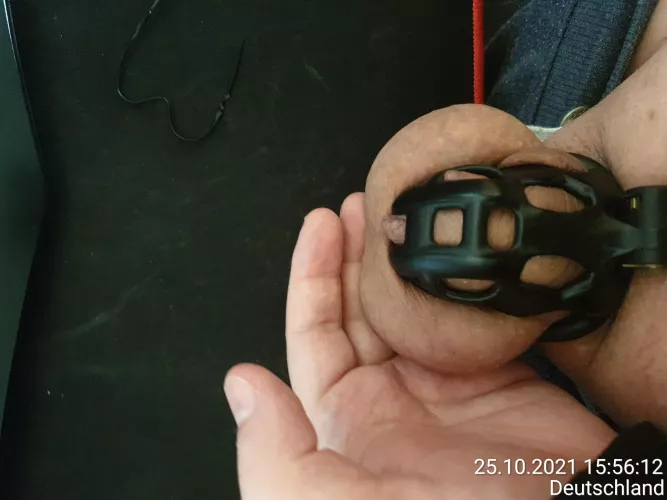 Day 25 of locktober by chopono