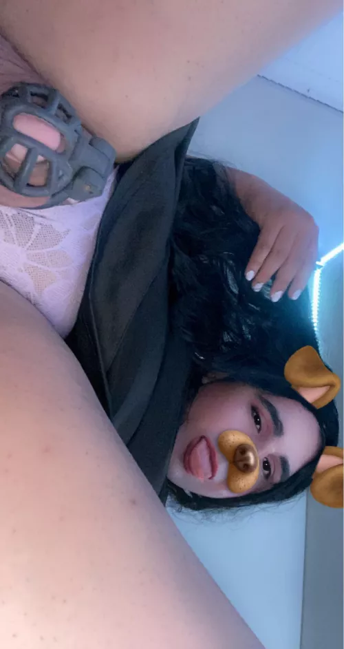 Day 5 of 31 I finally ordered some makeup and a wig to play around 😊 by Siscelia