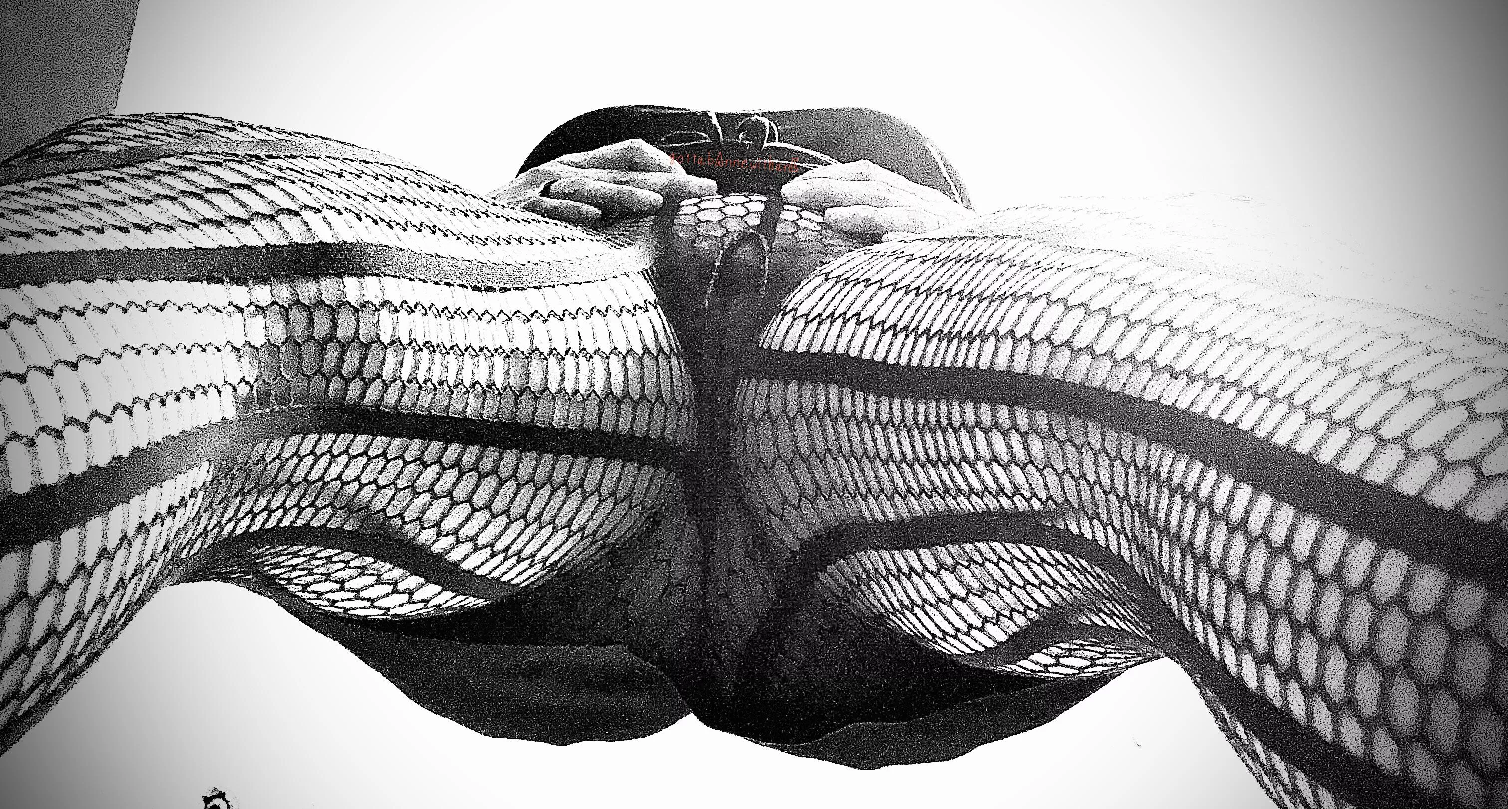 Day 5: Things are looking up…it’s Friday! posted by gottabAnnewithanE