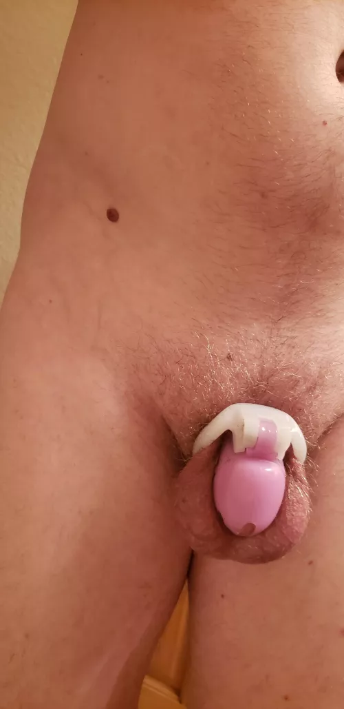 Day 6. More wet dreams last night. This going to be a long month :( by CalicoTwist