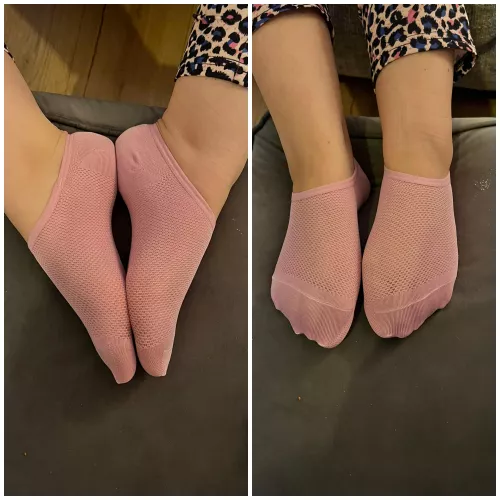 Day 6 of the new year and I wore these sexy no shows today. You should see the bottom of them after a full days wear 😈 by theaverys2013