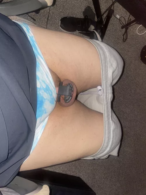 Day 7 of 31 for locktober this will be the longest I’ve been locked after today 🥺yesterday I put my plug in and cummed a little just putting It in 🥵 by Siscelia