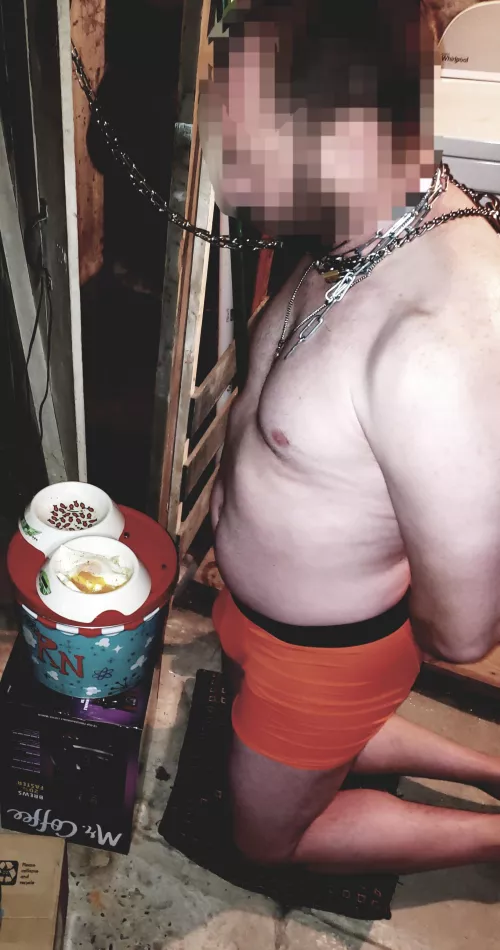 Daydreaming about the very first time I chained up the slave 🥺 not my best work, but at least I gave him a pillow for his knees 😈 by nuhairhudis