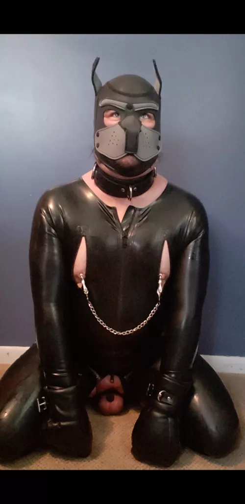 Daydreaming of being a locked, collared, and owned pup... by SlavePupPadfoot