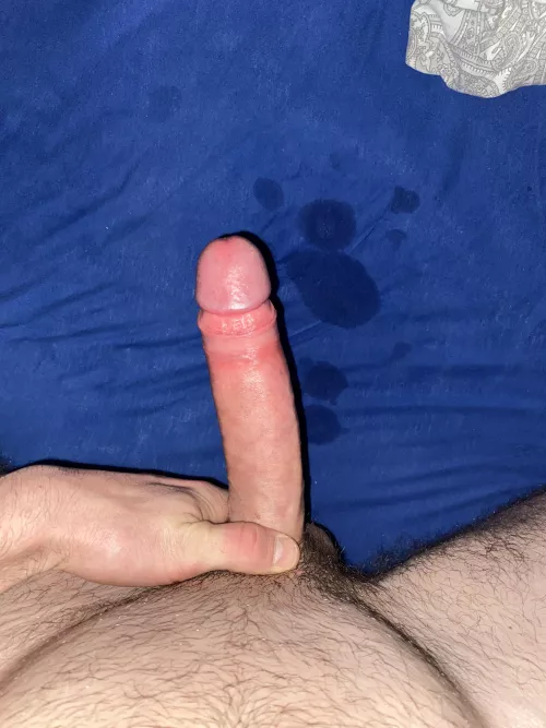 Dd by Federal_Studio_1002