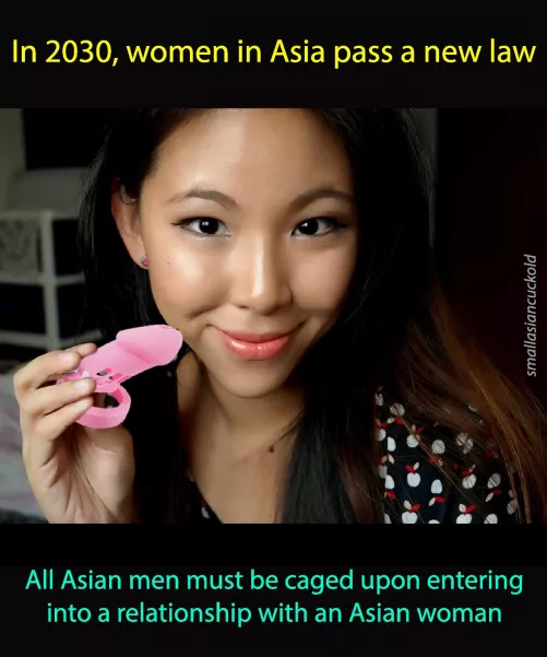 Dear Asian boys: If you want to date me, you have to be caged by smallasiancuckold
