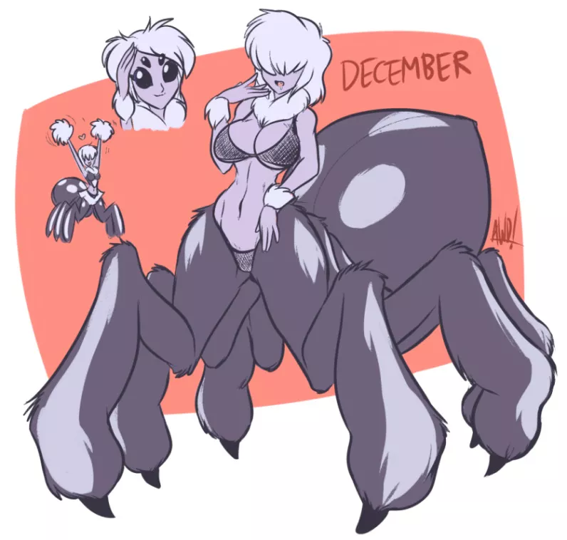 December the fluffy jumping spider posted by Misdraevus