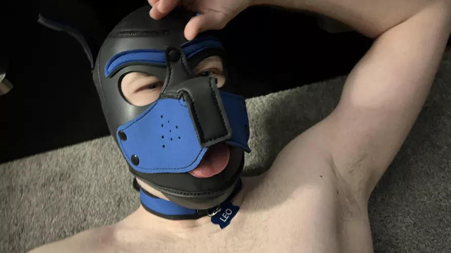 Decided on a name 🐶 by allbutmysterious