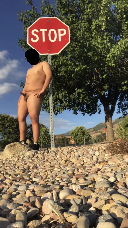 Decided to have a little photo shoot this morning in an abandoned parking lot. Who else just loves sunrises☀️ by Able-Comedian-9652