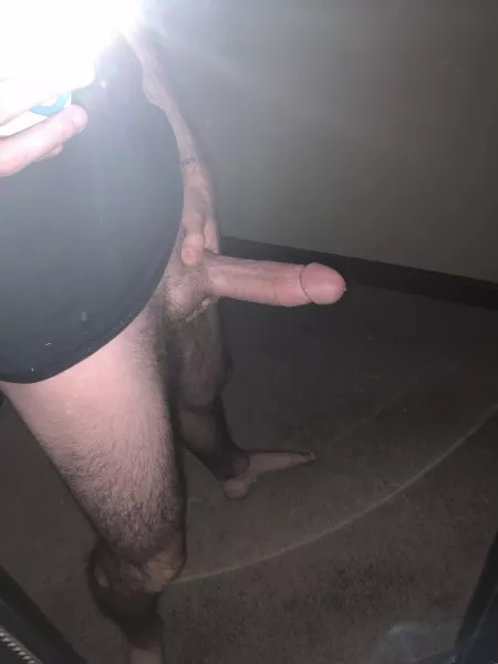 Decided to stop lurking by NavelRocket