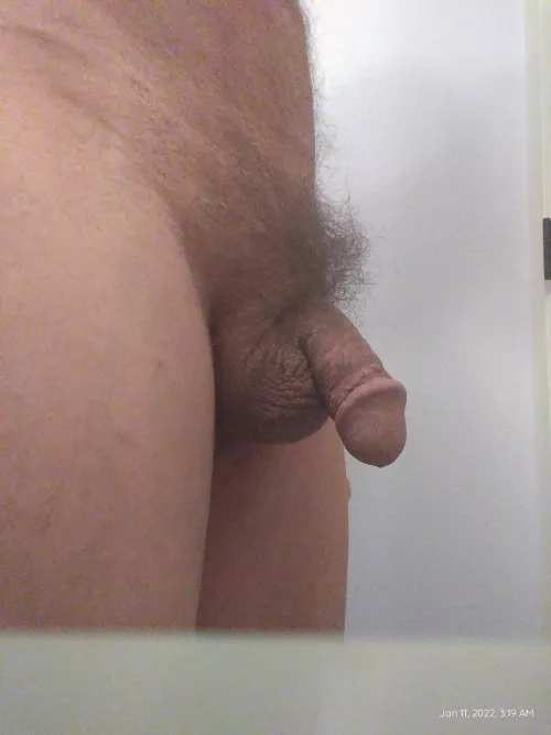 Decided to trim my shaft and balls, whatcha think?(m)(65) by MisterOchre