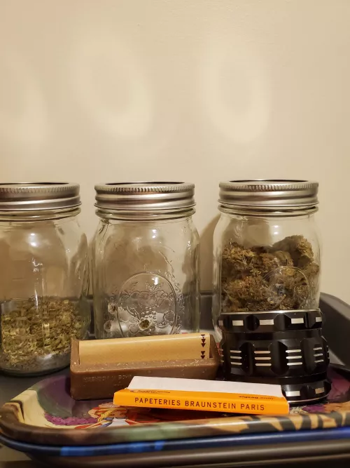 Decisions, decisions, decisions by elevator_420_mod