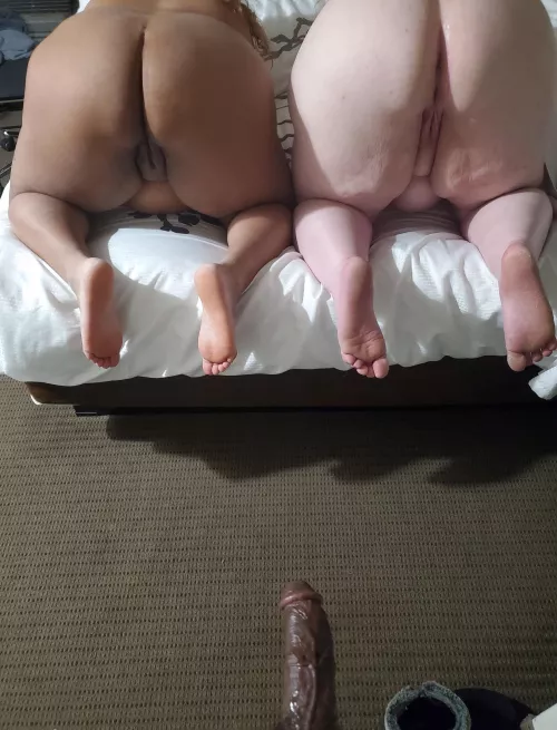 Decisions, decisions 🤔 by hurrikanexxx