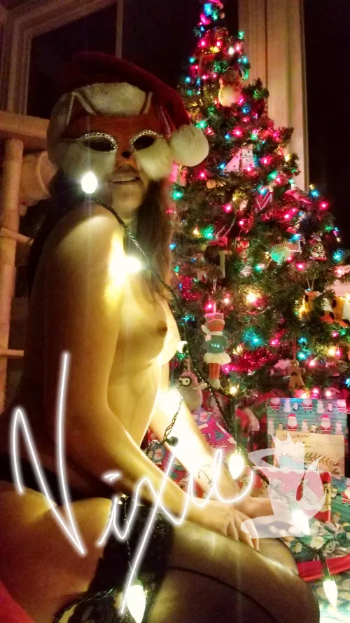 Deck the halls with Frisky Foxes fa la lalala, lala la la 🦊🎄 by TwoFriskyFoxes