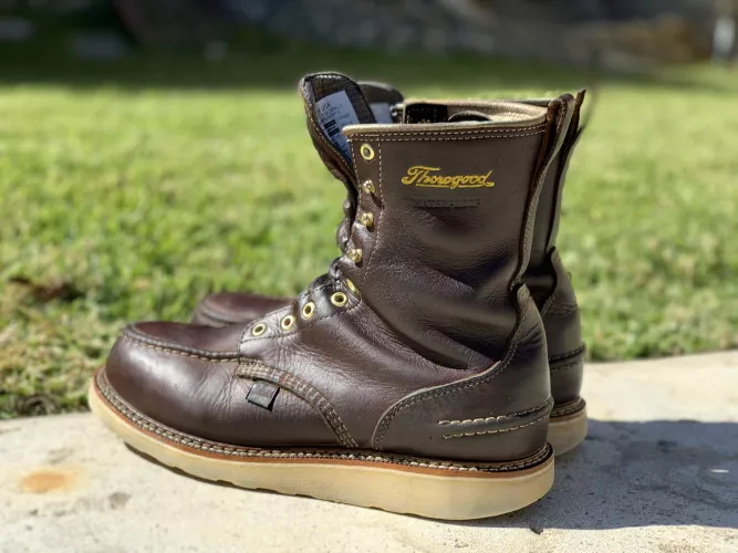 Deep clean/Heavy duty LP/Year and a half old with lots of character! by Dyingmisery