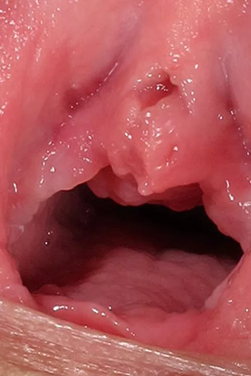 Deep Pink posted by mkilroy1112