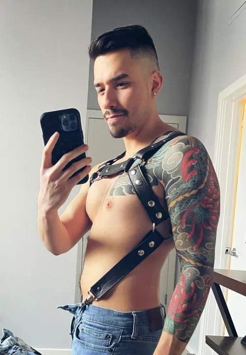 Definetly shouldn’t be buying new harnesses in my current financial state…but here we are by EverythingsOak