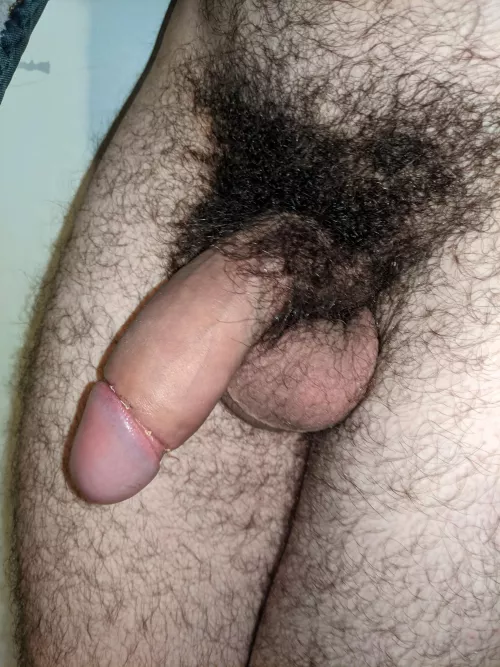 Dense by RepresentativeSad416