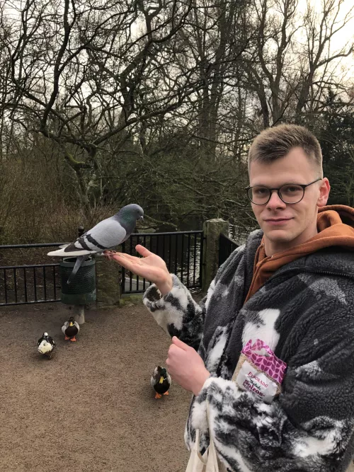 Destress - Commune With Birds by The_Barium