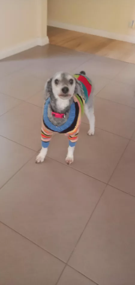 Detective Sam loves her new jacket! by RedditNameNotTaken